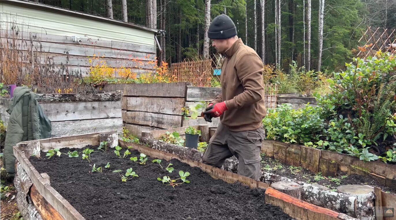 [22]_young-off-grid-family