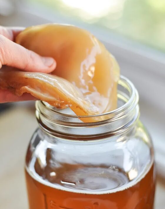 23_DIY_kombucha