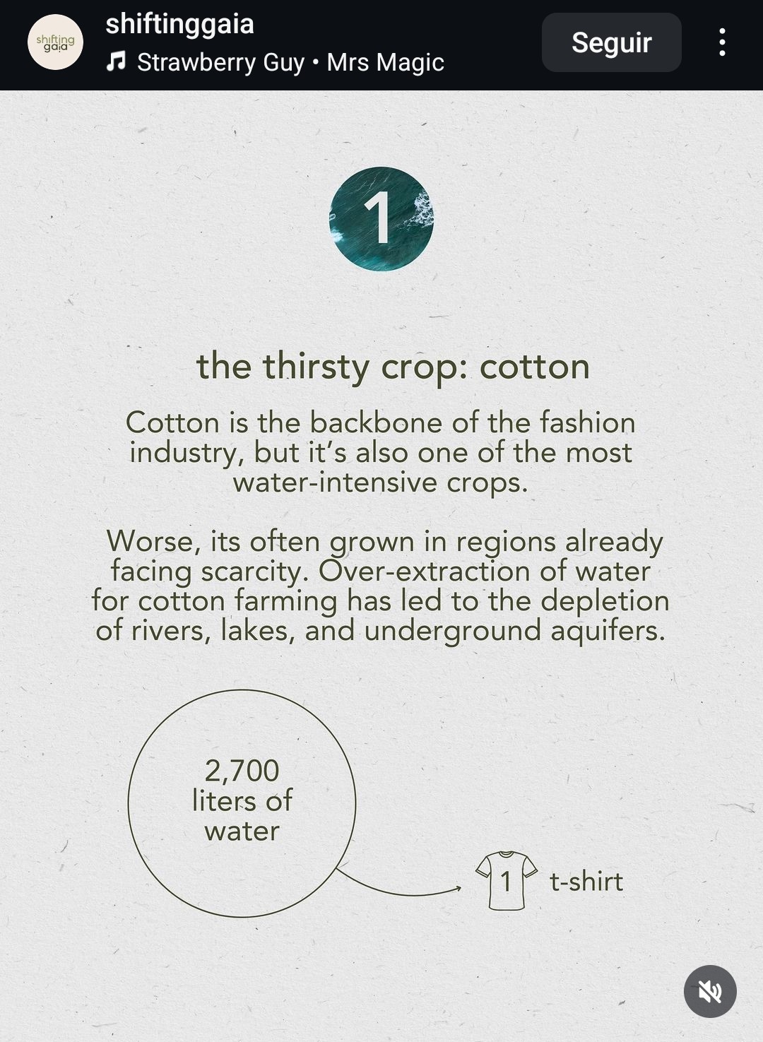 31_information_on_cotton_production