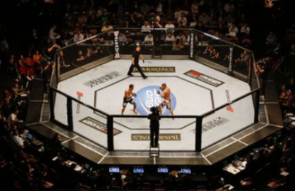 A UFC octagon during an event