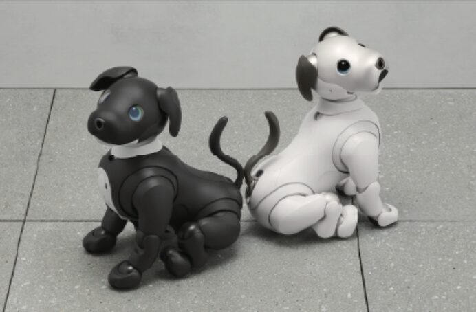 Aibo-Pet Dog Robot