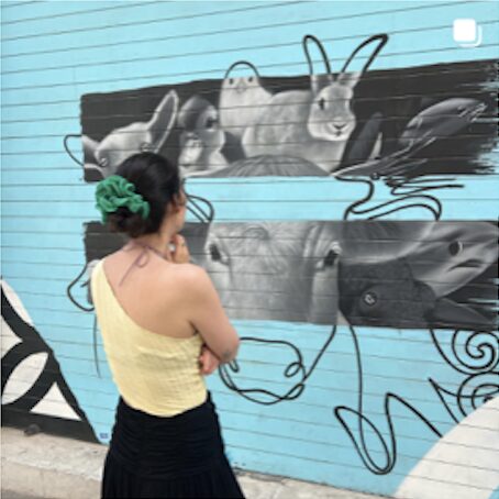 Art with rabits and cow