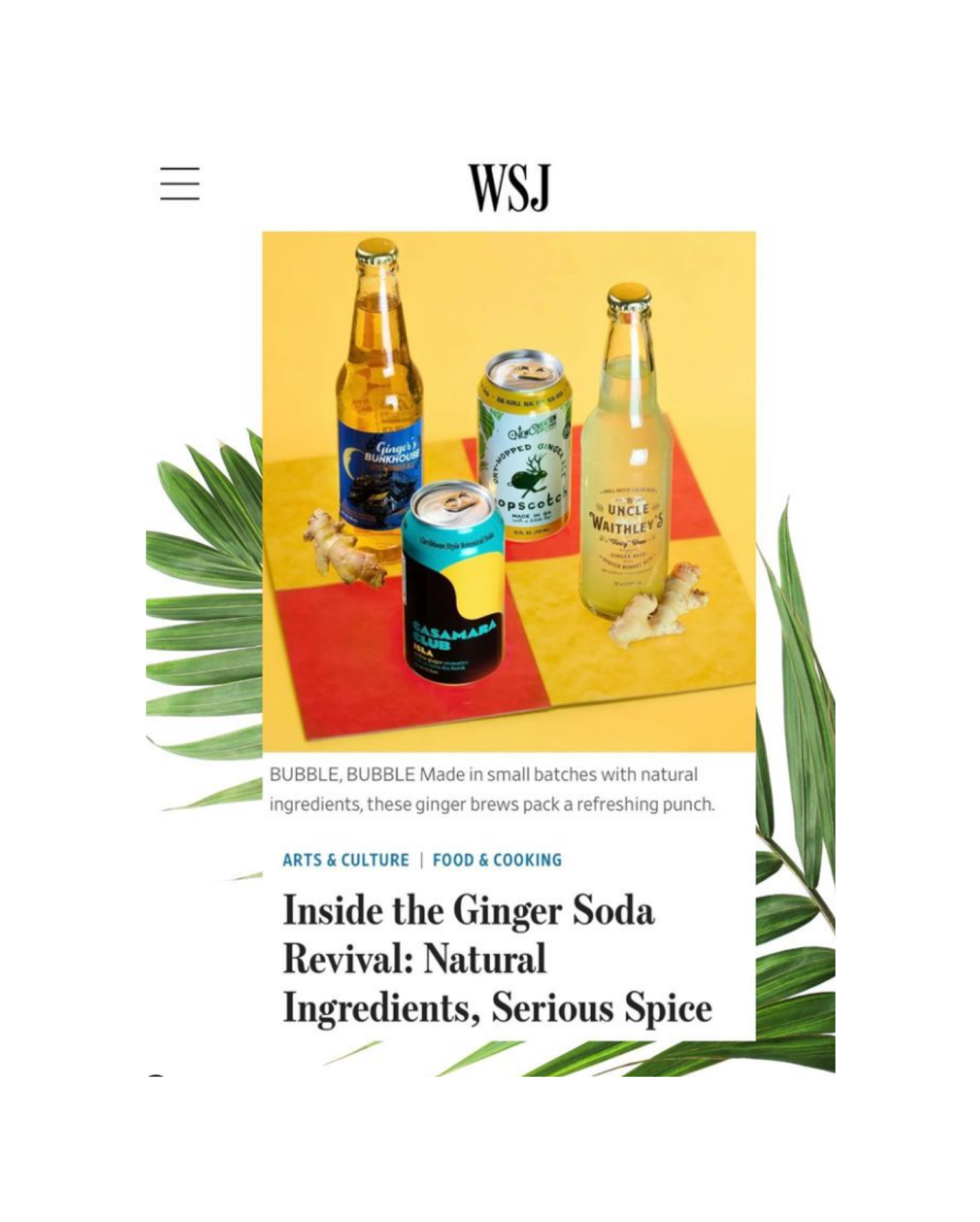 Article ginger soda special