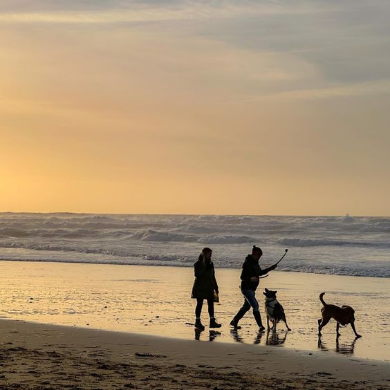 Beach walk