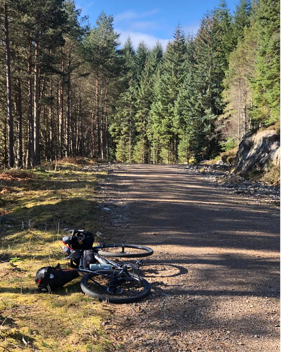 Bike on ground in forest