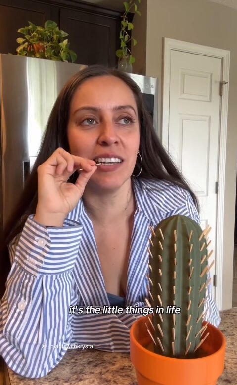 Cactus toothpick holder