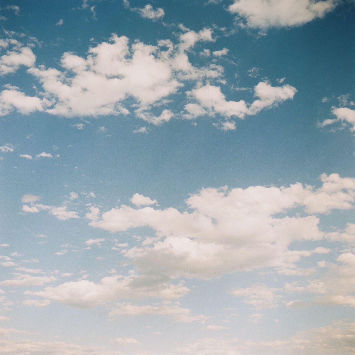Color landscape 5