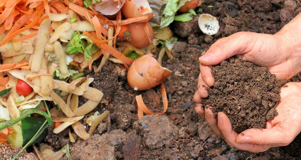 Compost_Recycling