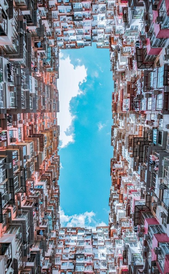 Concrete jungle