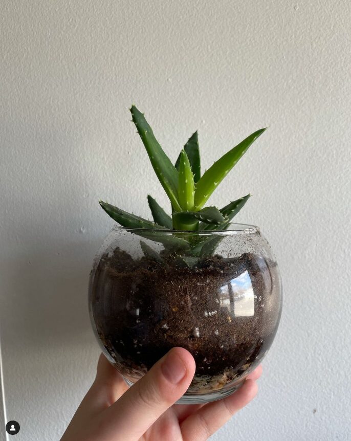 Cutting in glass bowl