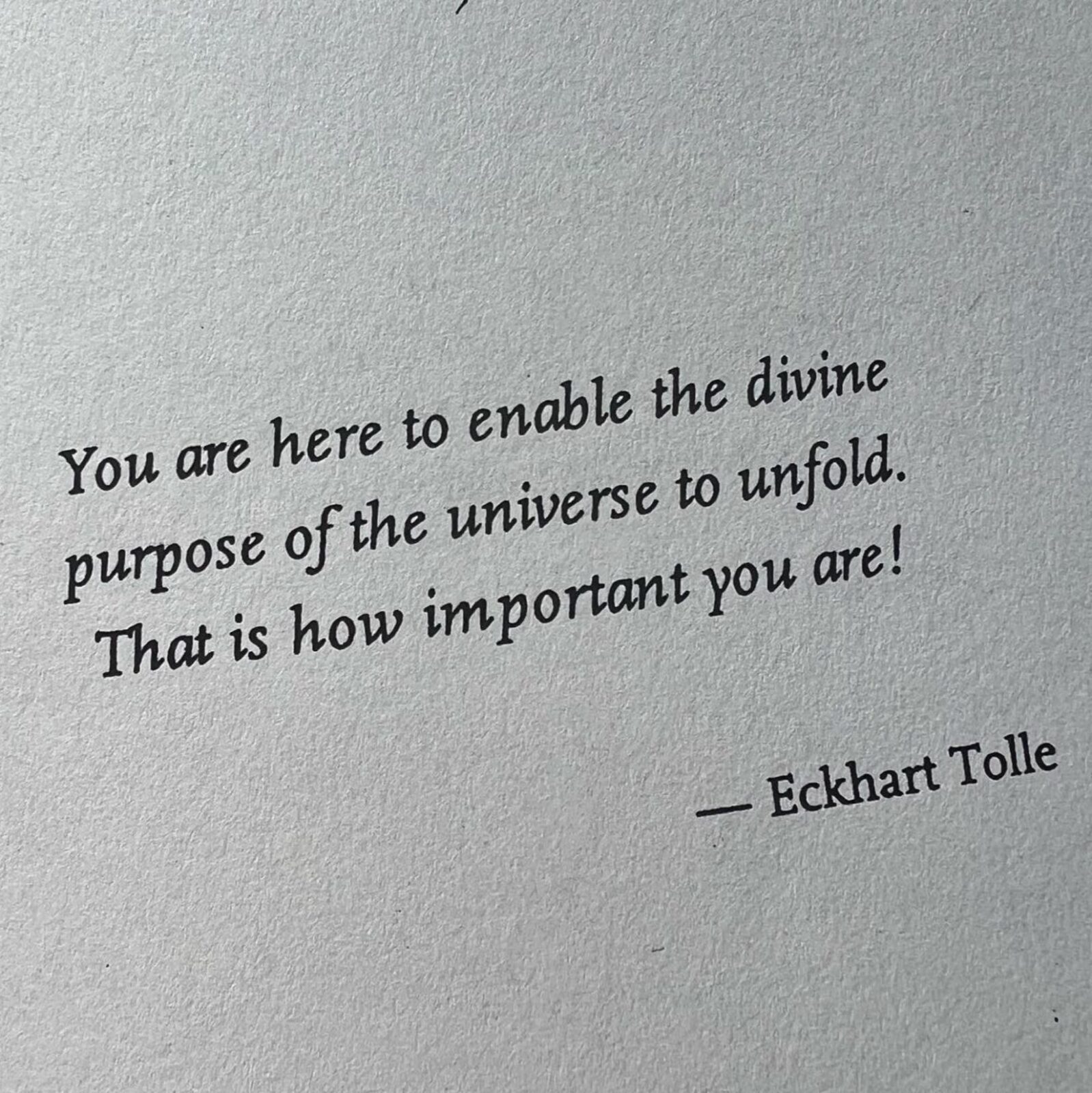 Eckhart Toll quote