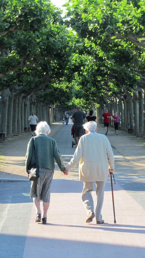 Elderly love