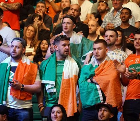 Fans of Ireland in the stances