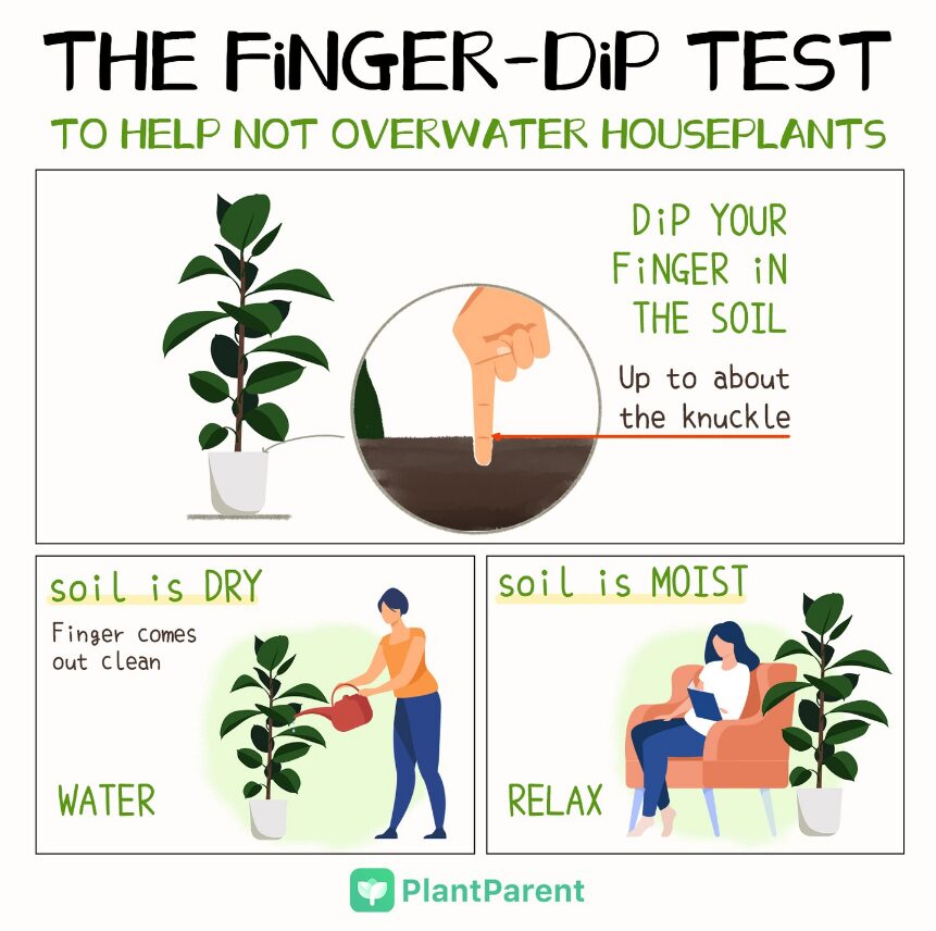 Finger-dip test