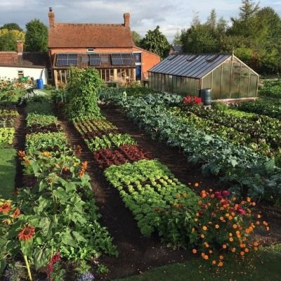 GardenHouse_Gardening