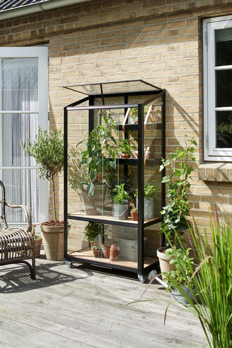 Greenhouse
