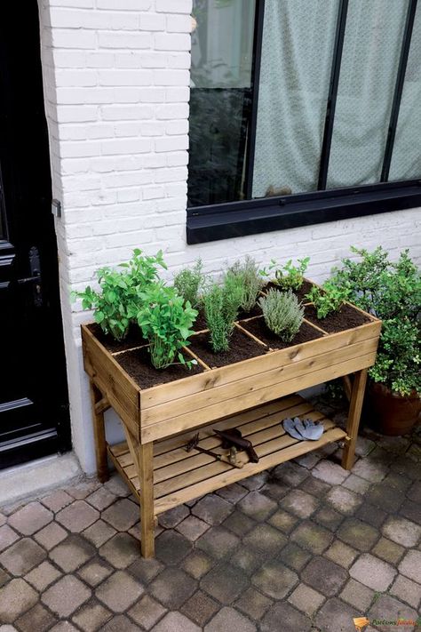 Greens wooden garden