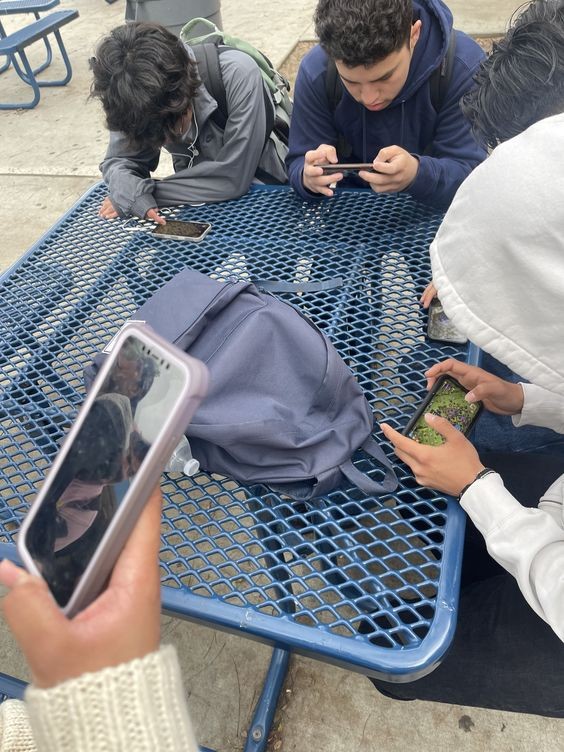 Group round table on phone
