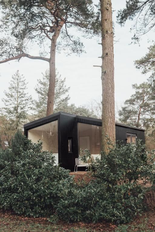 House in woods