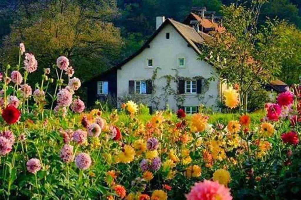 House2_LivingInNature