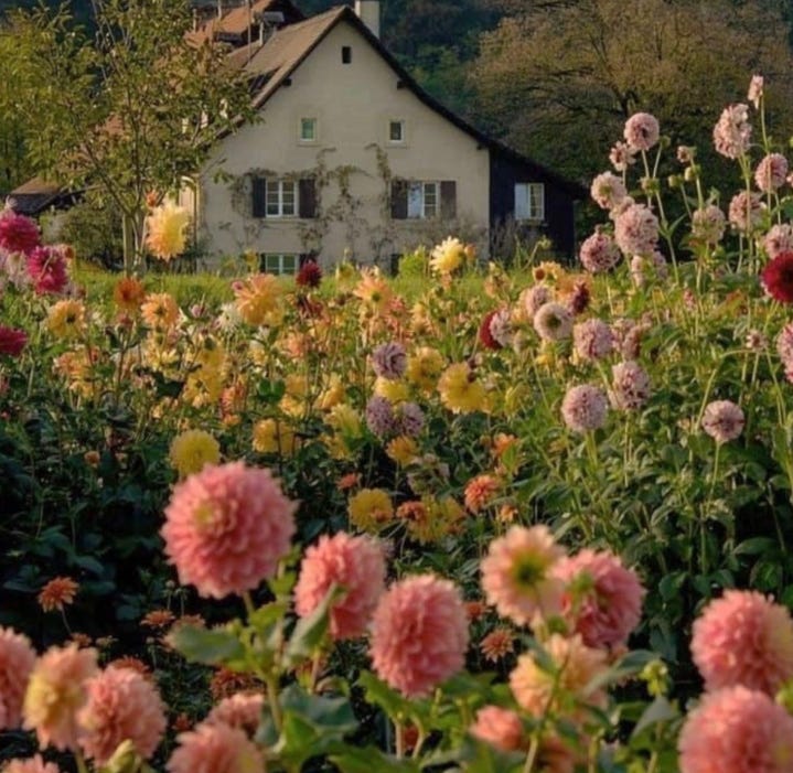 House_LivingInNature
