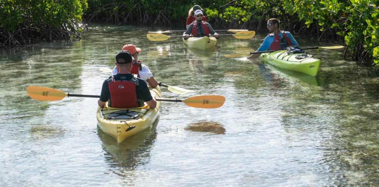 Kayakking through nature