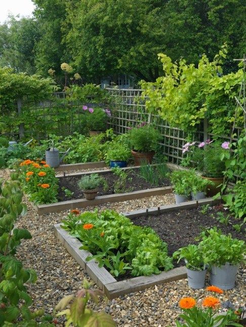 KitchenGarden2_Gardening