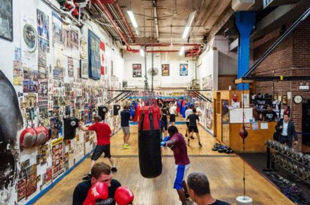 Lively boxing gym