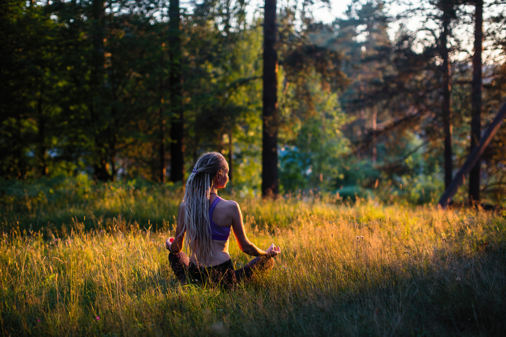 Meditation_FutureValues