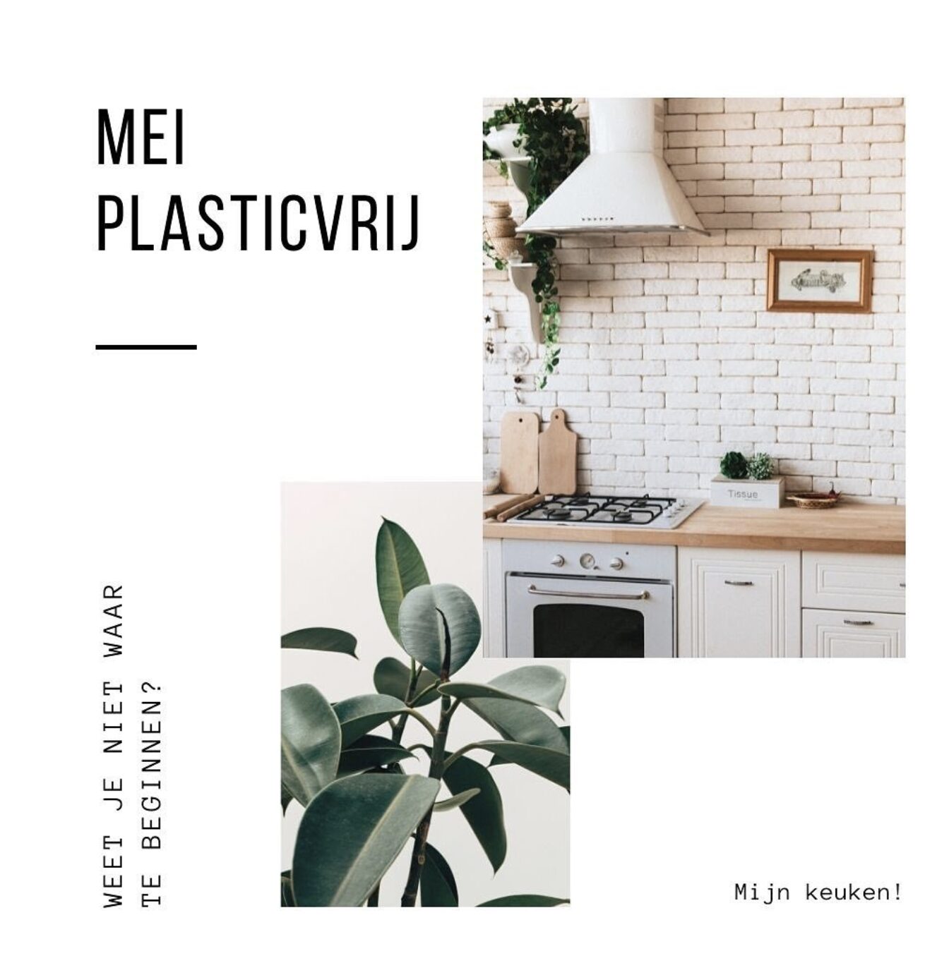 Mei Plasticvrij