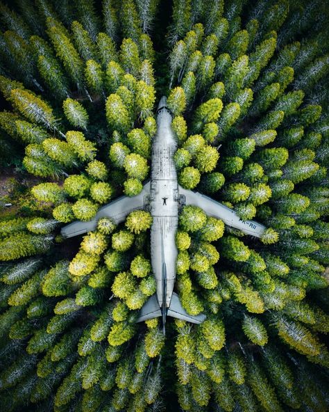 Plane