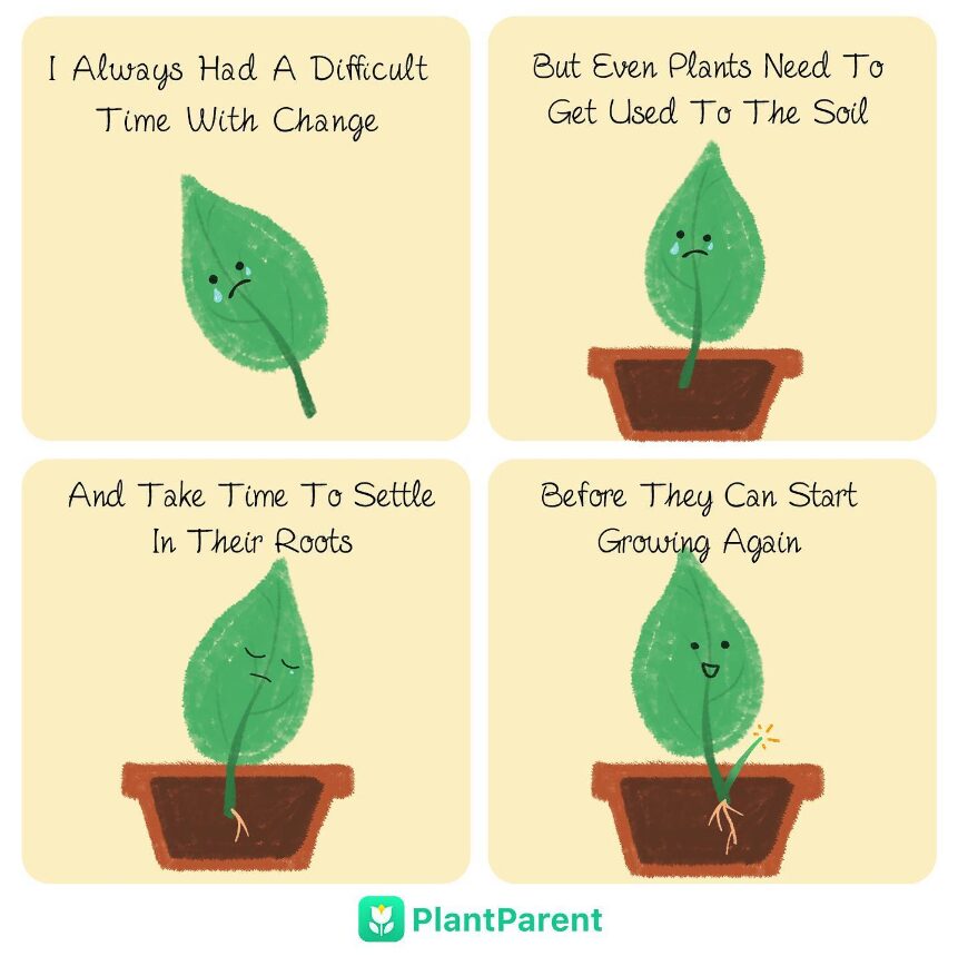 Plant cartoon