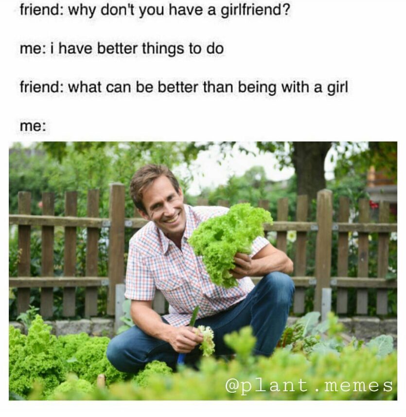 Plant meme 1