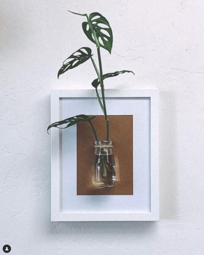 Plant pot frame