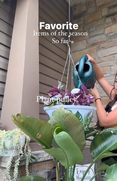 Plant pot