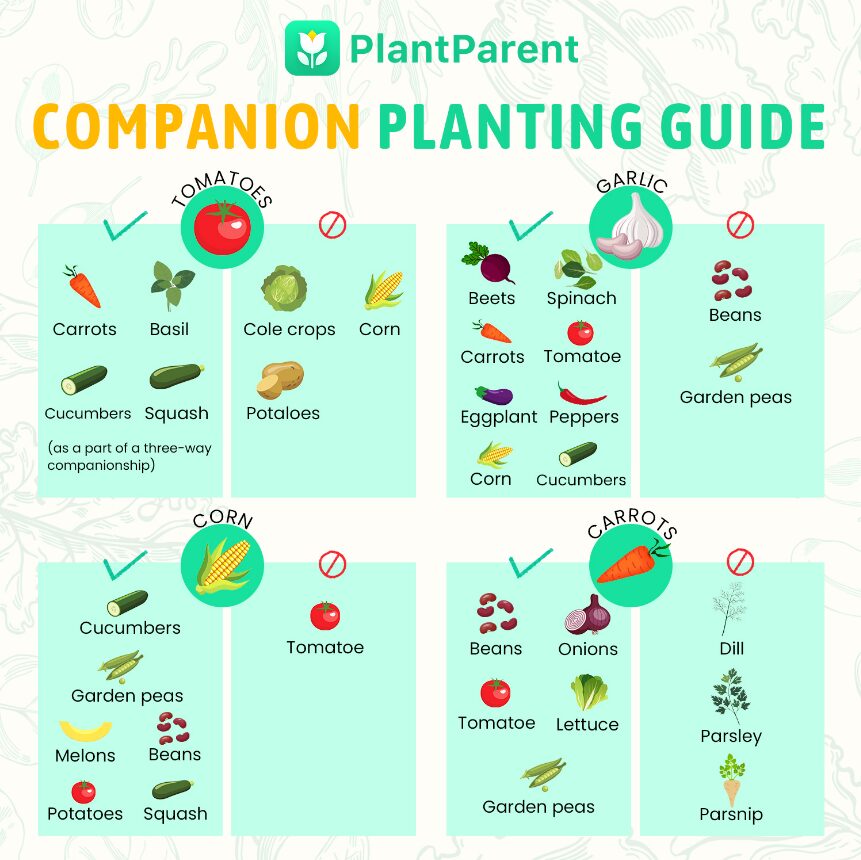 Planting guide