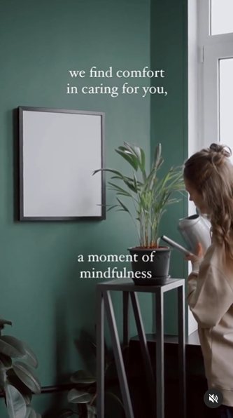 Plants and mindfulness