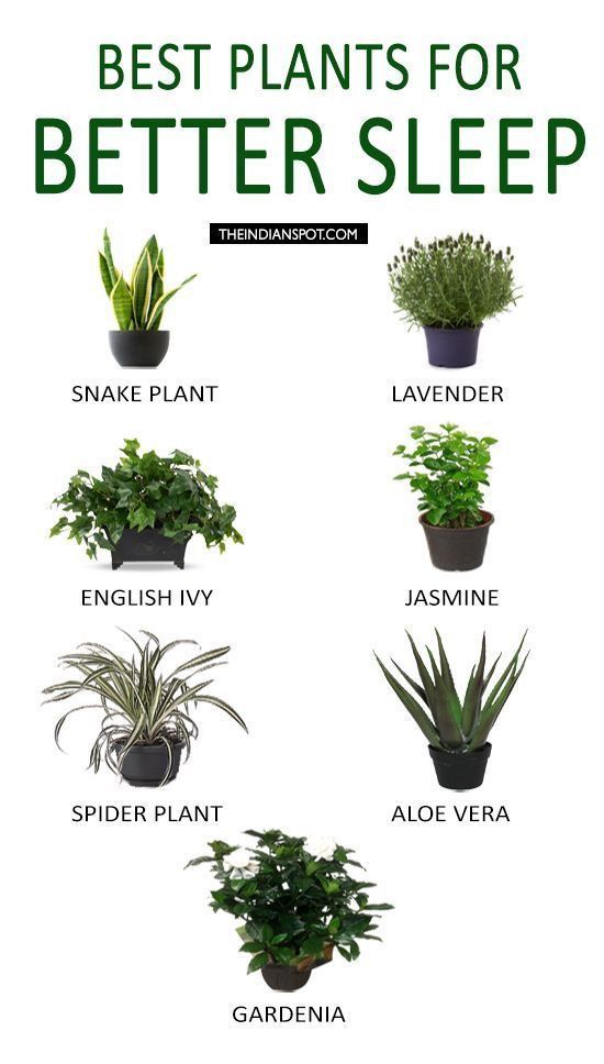 Plants better sleep