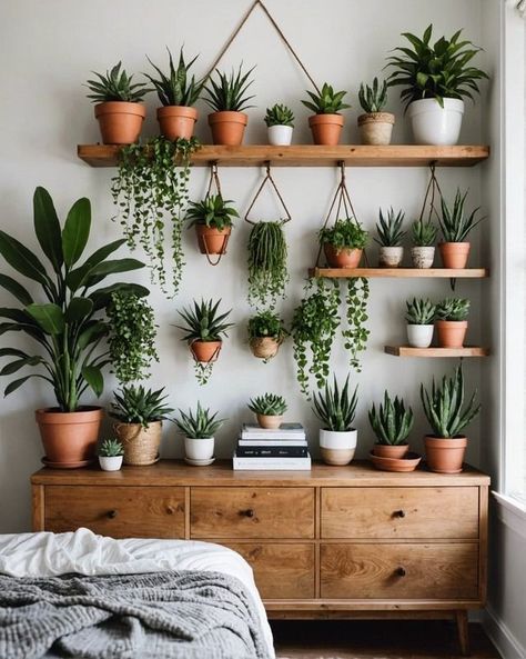 Plants in home