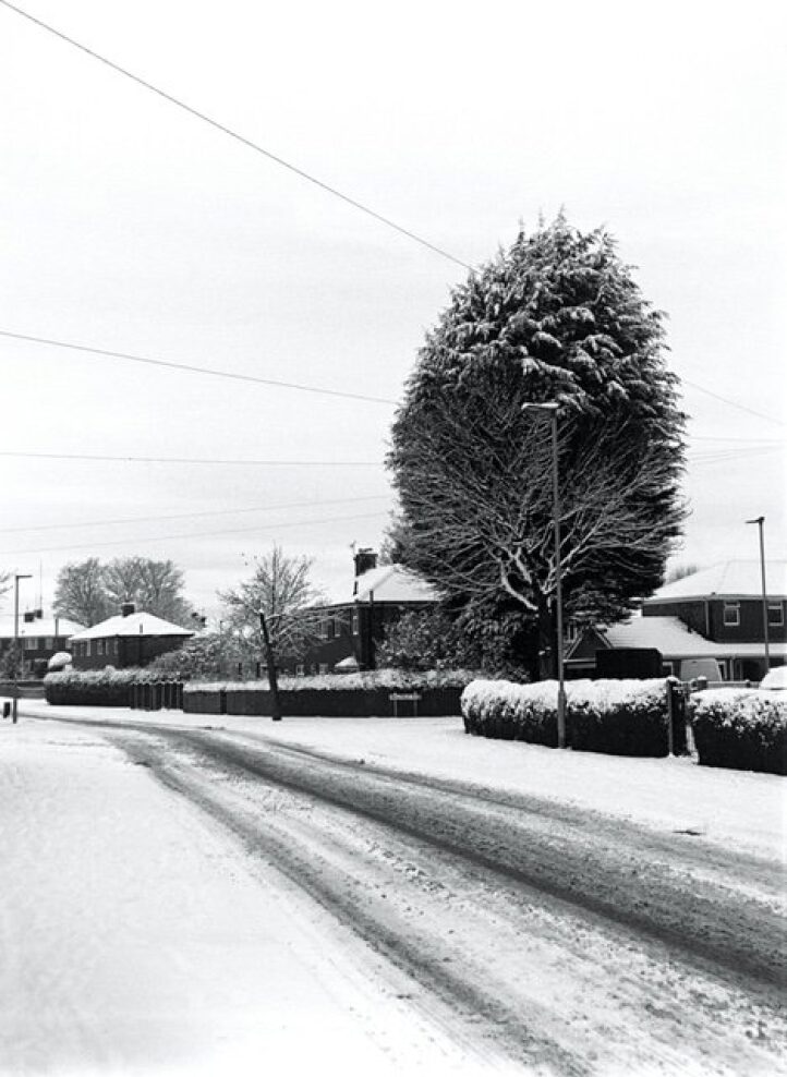 Retro style landscape 3