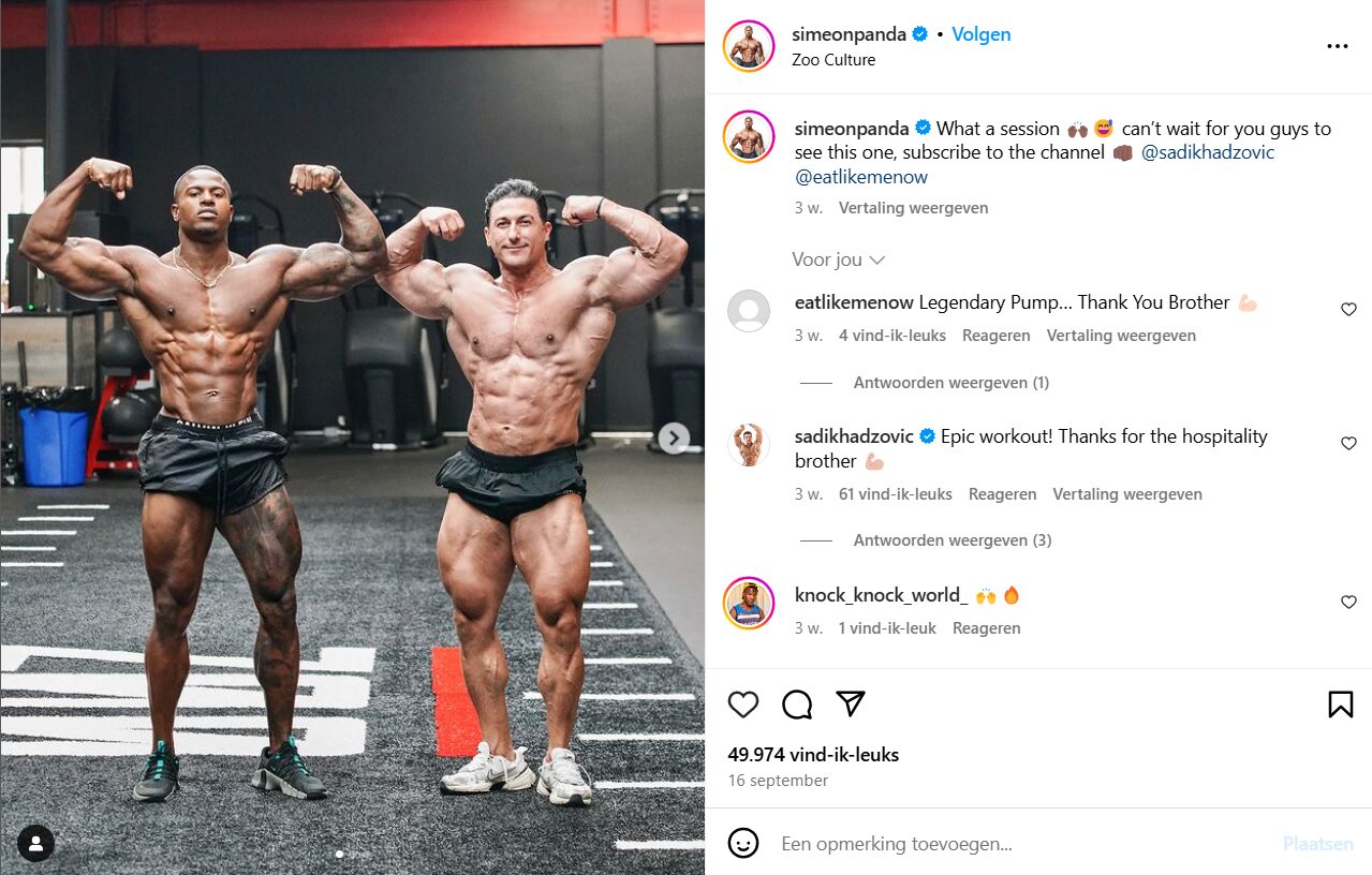 Simeon-Panda2