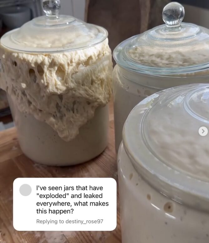 Sourdough Fail