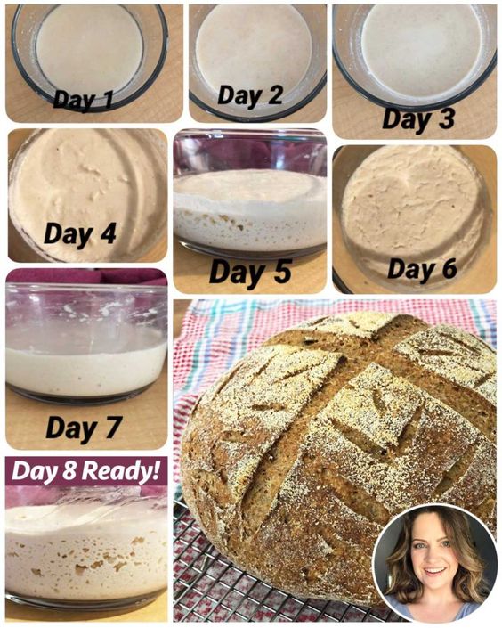 Sourdough Process