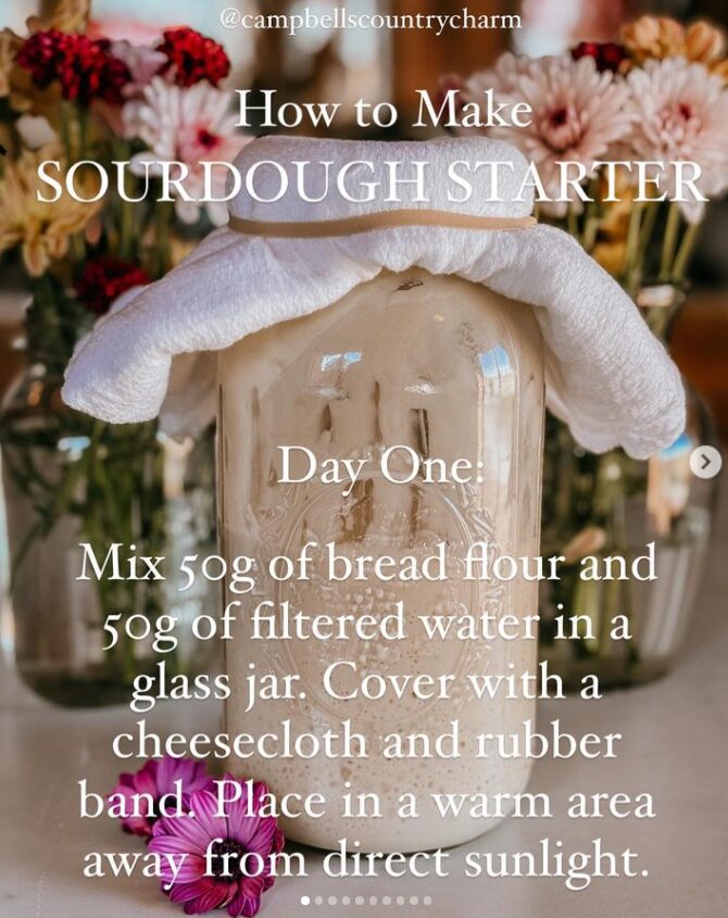 Sourdough Starter