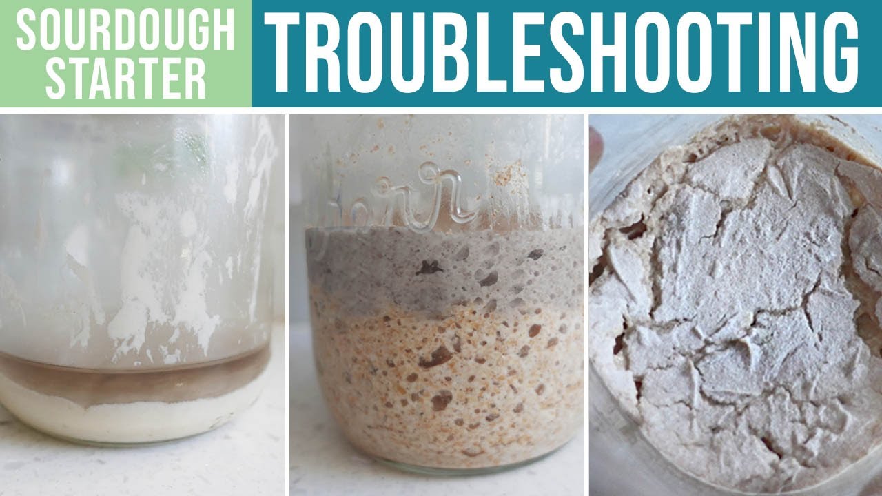 Sourdough Troubleshooting