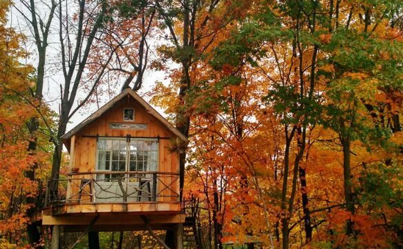 Tiny hosue fall