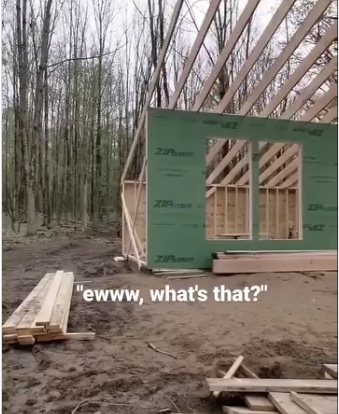 Tiny house_sharing_journey