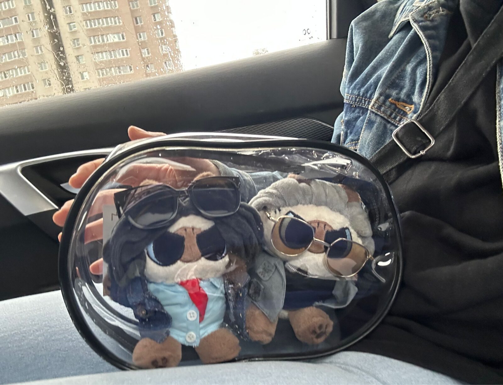 Transparent bag with 2 character dolls