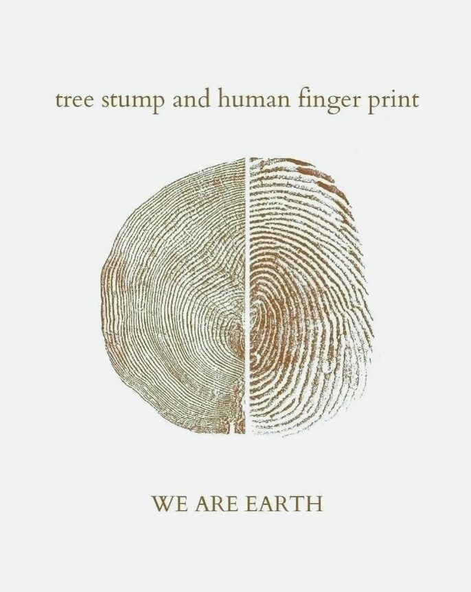 Tree stump vs fingerprint
