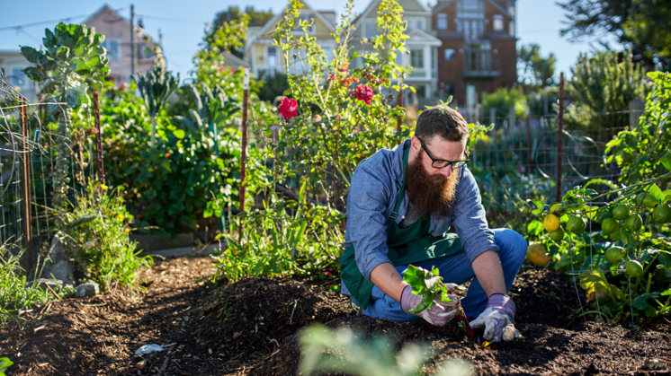UrbanFarmer_FutureValues